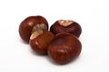 Conkers