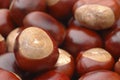 Conkers Royalty Free Stock Photo