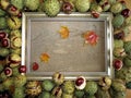 Conker frame Royalty Free Stock Photo