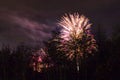 Conkers in The National Forest Fireworks