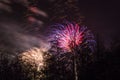 Conkers in The National Forest Fireworks