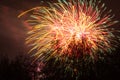 Conkers in The National Forest Fireworks