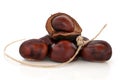 Conkers and String Royalty Free Stock Photo