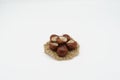 Conkers on a string mat in a white space Royalty Free Stock Photo