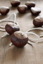 Conkers Royalty Free Stock Photo