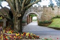 Connaught gardens in summer