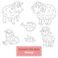 Connect the dots (farm animals set, sheep family)