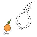 Connect the dots: fruits and vegetables (onion)