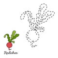 Connect the dots: fruits and vegetables (radishes)
