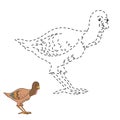 Connect the dots game: farm bird (turkey)