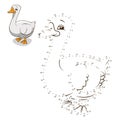 Connect the dots game goose vector illustration