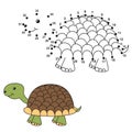 Connect the dots to draw the cute turtle and color it