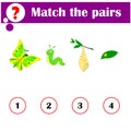 Determine the correct loop order. Butterfly development. Educational game for children