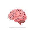 Connected Brain Illustration Royalty Free Stock Photo