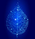 Connected dots point line triangle leaf. Eco nature concept blue background lights geometric poligonal low poly icon