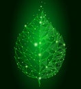 Connected dots point line triangle leaf. Eco nature concept on green background lights geometric poligonal low poly icon