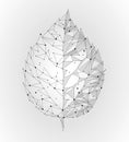 Connected dots point line triangle leaf. Eco nature concept on white background lights geometric poligonal low poly icon