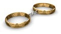 Connected rings (clipping path included)