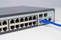 Connecting Ethernet Cable to Network Switch. Royalty Free Stock Photo