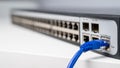 Connecting Ethernet Cable to Network Switch. Royalty Free Stock Photo