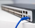 Connecting Ethernet Cable to Network Switch. Royalty Free Stock Photo