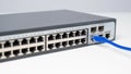Connecting Ethernet Cable to Network Switch. Royalty Free Stock Photo