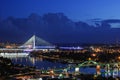 Panorama of the Belgrade, main river Sava and all bridges Royalty Free Stock Photo