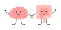 Connection of cute healthy happy brain and intestine gut characters. Relation health of human brain and gut, second brain. Unity