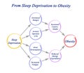 From Sleep Deprivation to Obesity Royalty Free Stock Photo