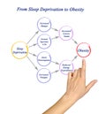 From Sleep Deprivation to Obesity