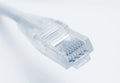 Connector RJ45 on patch cable Royalty Free Stock Photo