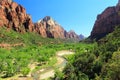 Zion National Park, Utah, Canyon and Desert Oasis along Virgin River, Southwest, USA Royalty Free Stock Photo