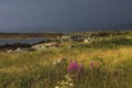 Connemara coast landscape Royalty Free Stock Photo