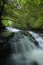 Connestee Creek, Pisgah Nat. Forest