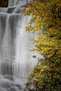 Connestee Falls surrounded by orange leaves and autumn color