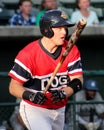 Connor Spencer Charleston RiverDogs