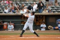 Connor Spencer, Charleston RiverDogs