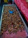 Strawberry conch or Tiger conch for sale at traditional markets in Mamuju, West Sulawesi, Indonesia Royalty Free Stock Photo