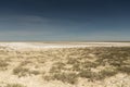 Consequences of the Aral sea disaster.Steppe and sand on the site of the former bottom of the Aral sea.Kazakhstan