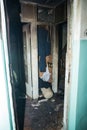 Consequences after a short circuit, burnt house interior, damaged apartment after fire, burned room, charred furniture, household