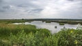 Conservation and preservation area in Texas