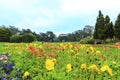 Conservatory of flowers, San Francisco