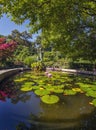 Conservatory Garden in summer with lotus flower Royalty Free Stock Photo