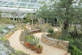 Conservatory at Kirstenbosch National Botanical Garden