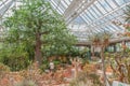 Conservatory at Kirstenbosch National Botanical Garden