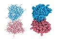 Conserved and divergent strigolactone signaling in Saccharum spontaneum. Molecular models. 3d illustration