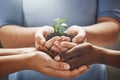 Conserving the environment. a person holding a plant growing in soil. Royalty Free Stock Photo