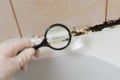 We consider the mold under a magnifying glass. In the bathroom, a black mold has formed in the silicone putty