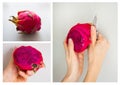 Consistent process of peeling exotic Dragon fruit isolated on grey background.