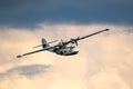 Consolidated PBY-5A Canso Catalina Miss Pick Up amphibious plane flying over Sanicole Airport during sunset. Belgium. September